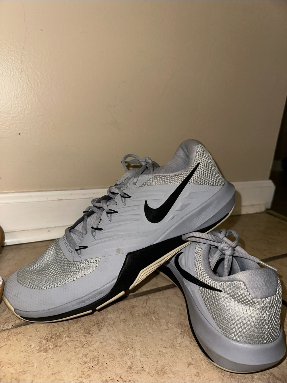 Nike Men’s Light Gray Athletic Shoes with Black Swoosh